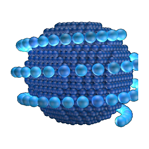 NanoPalm | Nanoparticle 2.0 for Advanced Therapeutics