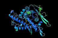 Protein-pLNP Chip