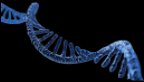 RNA-pLNP Chip
